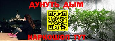прущие крисы Можга