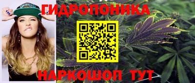 прущие крисы Можга