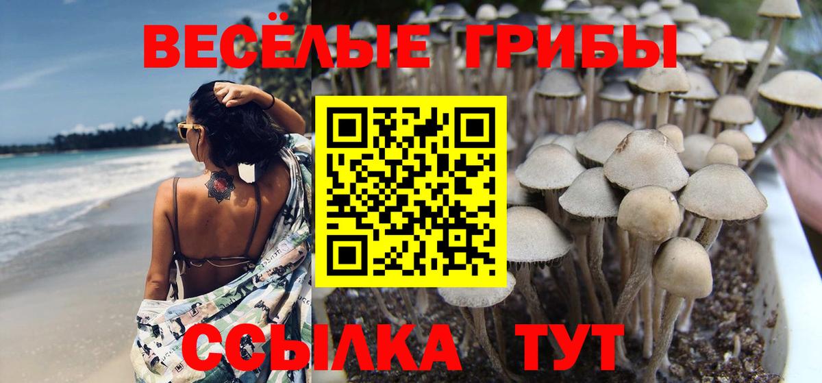 Дальнереченск  Псилоцибиновые грибы GOLDEN TEACHER  Псилоцибиновые грибы прущие грибы  Вход с VPN 