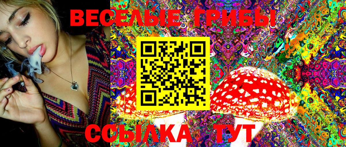 Псилоцибиновые грибы Magic Shrooms Дальнереченск